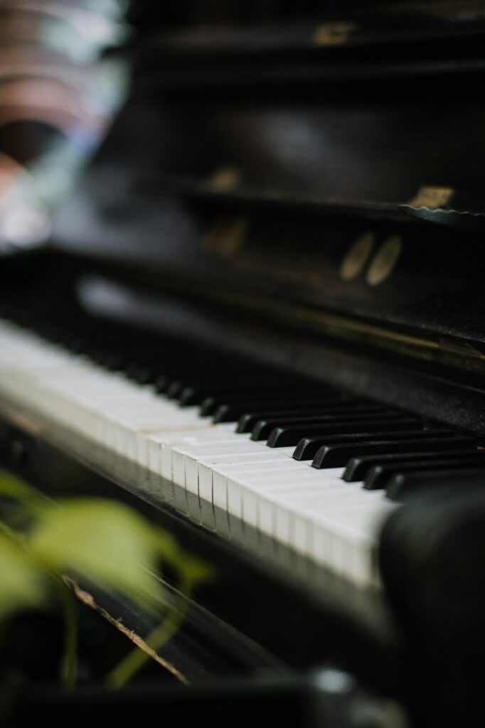 piano / musical instrument/ music / black and white